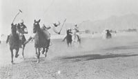 1924 Polo Action